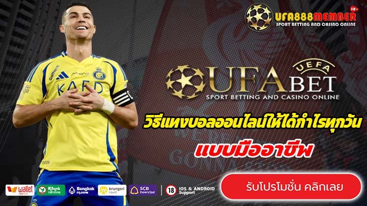 วิธีแทงบอลออนไลน์ให้ได้กำไรทุกวัน แบบมืออาชีพ